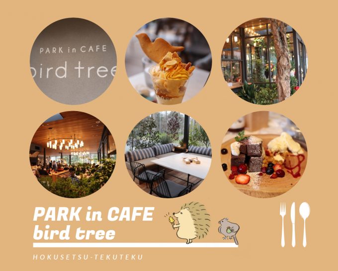 子連れで千里南公園 吹田市 にオープンしたカフェ Park In Cafe Bird Tree バードツリー へ 駐車場 オムツ交換台 公園遊具など 北摂てくてく